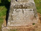 image of grave number 409782